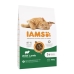 Aliments pour chat IAMS Advanced Nutrition Cat Adult Agneau 10 kg