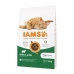 Cibo per gatti IAMS Advanced Nutrition Cat Adult Agnello 10 kg