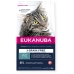 Kattmat Eukanuba Grain Free Adult Salmon Fisk 2 Kg