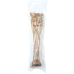 Snack voor honden Zolux dried pig ear Rundvlees 600 g