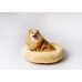 Letto per animali domestici GO GIFT M 50 x 10 x 57 cm