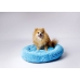 Letto per animali domestici GO GIFT M Azzurro 50 x 10 x 57 cm