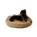 Cama para cães GO GIFT XL Camel