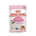 Mâncare pentru pisici Royal Canin Kitten Gravy 85 g