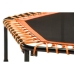 Elastic Bed Salta