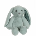 Jucărie de Pluș Gipsy Toys 071713 Verde