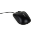 Souris iggual IGG318867