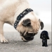 Dog collar Star Wars