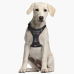 Dog Harness Star Wars