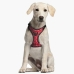 Harnais pour Chien Minnie Mouse Rouge