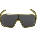 Lunettes de soleil Homme Alpina BONFIRE