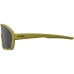 Men's Sunglasses Alpina BONFIRE