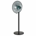 Freestanding Fan Sogo 50 W Black