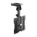 TV-holder Aisens CT43S-187 19