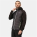 Chaqueta Deportiva para Hombre Regatta Andreson VIII Hybrid