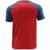 Camisola de Manga Curta Homem Converse Colour Block Raglan Vermelho