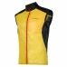 Pánské sportovní Gilet La Sportiva Blizzard Vícebarevný