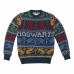 Jersey Unisex Harry Potter Azul