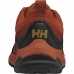 Buty sportowe Helly Hansen  GOBI 2 11809 308 Czerwony