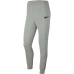 Adult Trousers  PARK 20 TEAM Nike CW6907 063  Grey Men