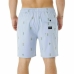 Men’s Bathing Costume Rip Curl Hula Breach Blue