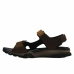 Sandales de montagne Timberland Winsor Trail Marron