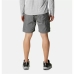 Sport Shorts Columbia Silver Ridge  Berg Grau