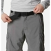 Pantalón Corto Deportivo Columbia Silver Ridge  Montaña Gris