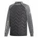 Sweaters uden Hætte til Børn Adidas Sportswear Nemeziz Grå