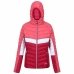 Women's Sports Jacket Regatta Harrock II Rumba Pink