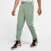 Pantalone per Adulti Jordan Jumpman Flight  Nike Unisex Acquamarina