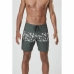 Herren Badehose Picture Andy H 17'' Grau