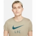 Camisola de Manga Curta Mulher Nike Liverpool FC Castanho