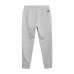 Adult Trousers 4F Jogger Grey Men