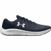 Sapatilhas de Running para Adultos Under Armour Charged Preto Cinzento Homem