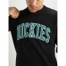 Hoodie Dickies Aitkin Zwart