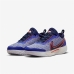 Heren Tennisschoenen Nike Court Zoom Pro