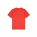 Short Sleeve T-Shirt Dickies Summerdale  Coral Men