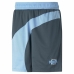 Basketball shorts til mænd Puma Flare  Blå