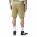 Pantaloncino Dickies Cobden Khaki  Cachi