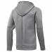 Herren Sweater mit Kapuze Reebok Supply Tech Grau