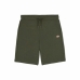 Pantaloncino Sportivo Dickies Mapleton Verde militare Oliva