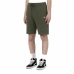 Calções de Desporto Dickies Mapleton Verde militar Azeitona