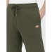 Calções de Desporto Dickies Mapleton Verde militar Azeitona