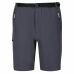 Sport Shorts Regatta Xert StrShort III Grau Berg