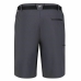 Pantalón Corto Deportivo Regatta Xert StrShort III Gris Montaña