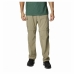 Pantalone Lungo Sportivo Columbia Silver Ridge Utility Convertible Montagna Marrone