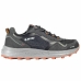 Scarpe da Running per Adulti Hi-Tec Terra Fly 2 Grigio scuro Montagna