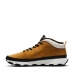 Bergschoenen Timberland Winsor Trail Mid Bruin Lichtbruin