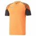 Kortermet fotballskjorte herrer Puma Individual Cup Training